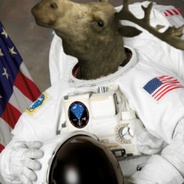 Starmoose
