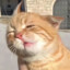Zzzz