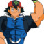 ash Flexem