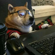 羊村舔狗沸羊羊