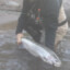SteelheadJunkie