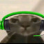 omni-cacau