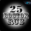 BOCTOK 25RUS