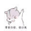伊丽莎白鼠
