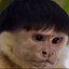 Парикмакер's avatar