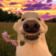 onekarate - steam id 76561199547278021