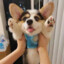 么L
