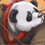 panda_warrior