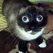 АгентГнида