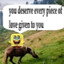 Spongbob