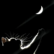 求求了别洗我了我买点