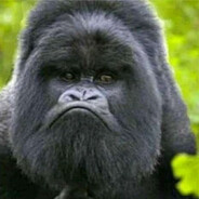 vvalen0kxd - steam id 76561199730024597