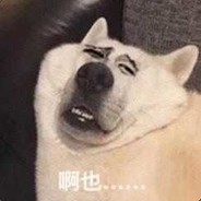 11月20日0点北京小雨心情好平静