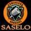 Saselo