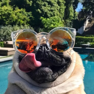 пепе ватафа