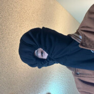 南村群童夸我强有力