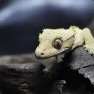 jmtxgu