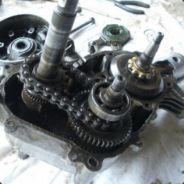 <[AKT]> Frank_Hofmann_21