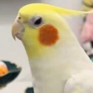 杭州下起了小雨