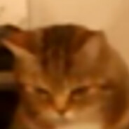 théoricien de l'eau chaude