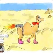 Vitusti kieroon kasvanu kameli