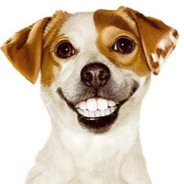 我前方战事吃紧你俩在