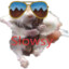 SLOWSY