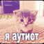 Я АУТИСТ