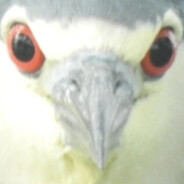 吗的跟美团拼了