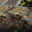 The Pentagon