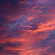 чорний кітік #KRAKENR