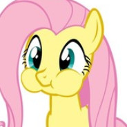 Fluttershy in Sockies