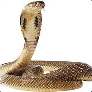 Matxer