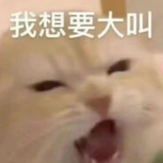 鸡屎变成小猫咪还是没办法和你一起丸嘛