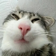 ovsyannikov.platon15082012