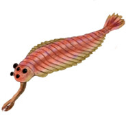 opabinia