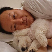 윤석열과내란견들