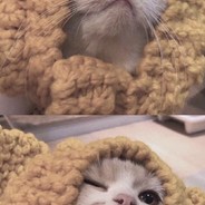 浪里白龙~哥斯拉