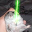 rat Skywalker