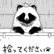 TanukiSan