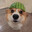 Zenolyth's Avatar
