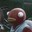 maoryl Steam avatar