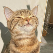 Σ‼e p !S"U-)↕☺8♪W