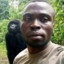 Jamal the King of Monkey