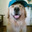 Gofy Ahh's Avatar