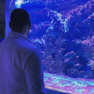 Jaworsky_ - steam id 76561198031812115