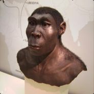 Budimon - steam id 76561197966502279