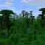 Jungle Biome