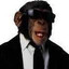 monkey dong