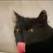 丁真叼着锐克暴打王源